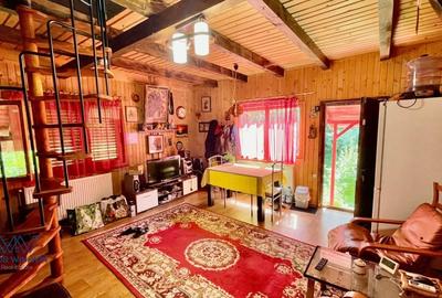Casa Vacanta Babana! 35mp + Teren 1077mp cu Parau. Langa Pitesti. - 9