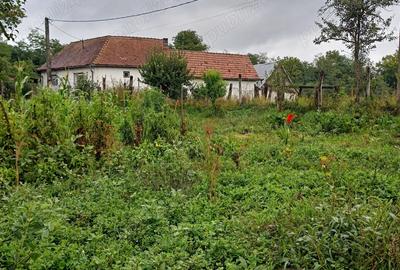 Casa de vanzare in Alma jude?ul Sibiu - 7