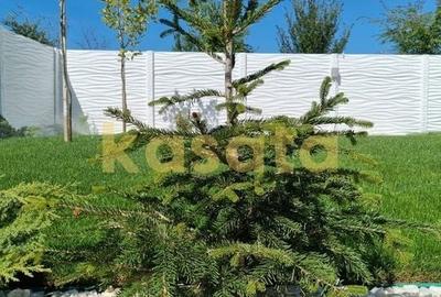 Vila individuală | Proiect nou | 474mp teren | Langa Lacul Morii - 3