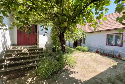 Casa de vanzare in com. Micasasa jud. Sibiu - 10