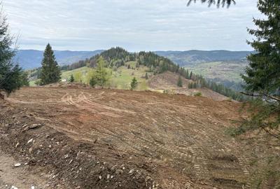 Teren de 1819 mp, în Horea - 8