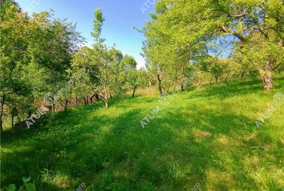 Casa traditionala din lemn cu 930 mp teren langa Sibiu - 7
