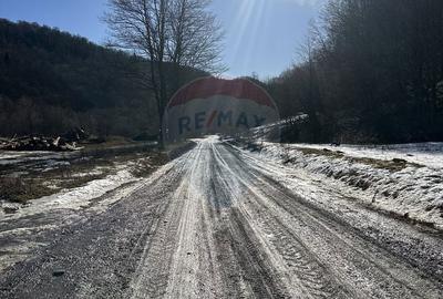 Teren de 1340 mp, în Gârcina - 4