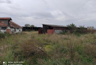 Teren pe fosta ferma a fabricii de zahar Bod - 2
