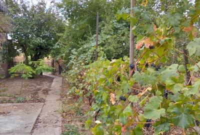 Casă cu 4 camere în Valea Călugărească - 1