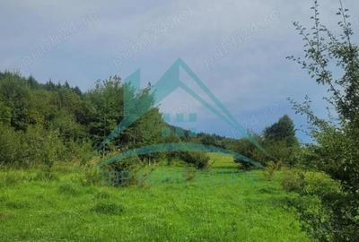 Teren pentru cabana pensiune zona Lac Micesti! - 6