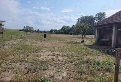 Casă în Topa de Criș - 1