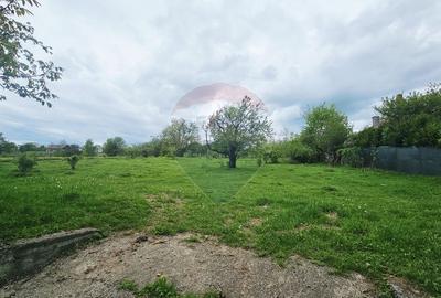 Teren Construcții intravilan de 5350 mp, în Dobreni - 2