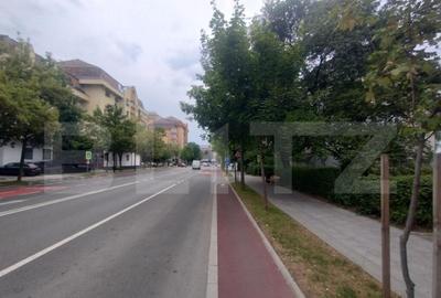 Apartament de inchiriat, 2 camere, 42 mp, parter, zona Bv De - 6