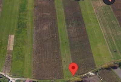 Teren Construcții extravilan de 3600 mp, în Gușterița - 4