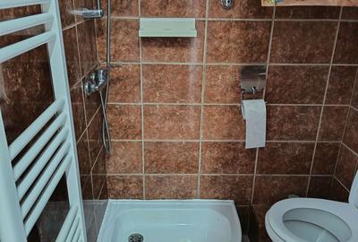 Garsonieră semidecomandată în Lazaret - 8