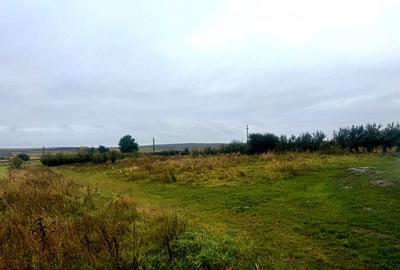 Vanzare 10.000 mp teren Liteni Suceava- la strada -potrivit proiect fonduri - 16