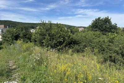 Teren de 830 mp, în Mănăștur