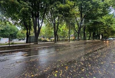 Vânzare Casă cu aplasare Strategică - Copou - Parcul Expoziției - 17