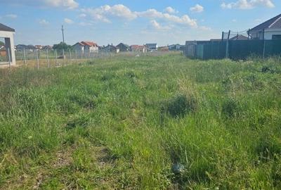 Teren intravilan de 817 mp, zona Sanandrei Teren intravilan de 817 mp, zona Sanandrei - 2