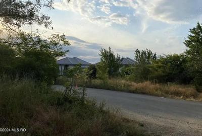 Corbeanca - Tamasi, intravilan, 16562 mp, deschidere 93 m, rezidential - 9