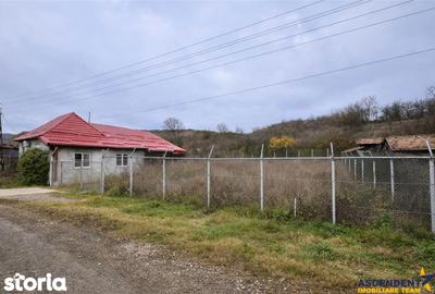Casă cu 3 camere cu Teren 2700 Mp în Sânpaul - 5