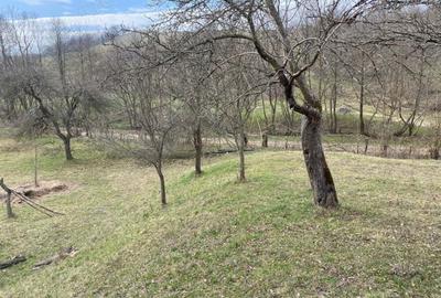 Teren de 4700 mp, în Romos - 6