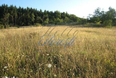 Teren de 5700 mp, în Chinteni - 2