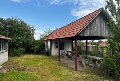 Casă cu 3 camere cu Teren 400 Mp în Ineu - 8