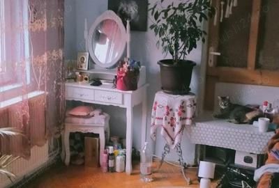 Casă cu 3 camere cu Teren 266 Mp în Unirii - 9