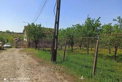 Teren de 800 mp, în Cârcea - 2