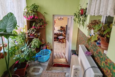 Casa 5 camere HALCHIU - SATU NOU - 9