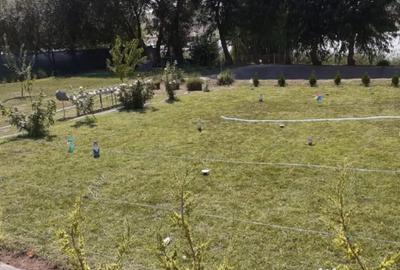 Casă cu 3 camere cu Teren 300 Mp în Horia - 2