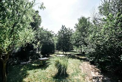 Casă cu Teren 1800 Mp în Pișchia - 7