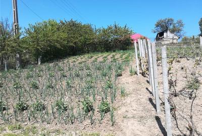 Casă în Rafaila - 2