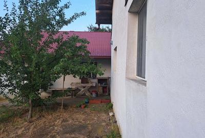 Doua case ,2000 mp teren,Slatioarele,Babana,Arges - 3