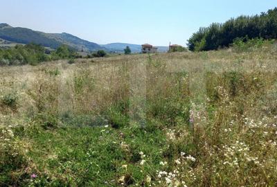 Teren de 2550 mp, în Central - 3