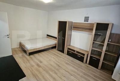 Apartament 1 camera, 28,5 mp, Zona Big-Manastur - 2