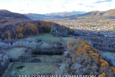 PADURE LANGA ORAS, ACCES BUN, IDEALA PENTRU ACTIVITATI DE AGREMENT - 8