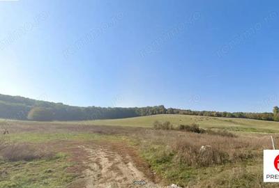 Teren de vanzare in Budiu Mic - 2