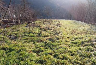 Ciclova, Casa 3 Incaperi, Zona Muntoasa, Schimb cu Gars. in ORAVITA Ciclova, Casa 3 Incaperi, Zona Muntoasa, Schimb cu Gars. in ORAVITA - 5