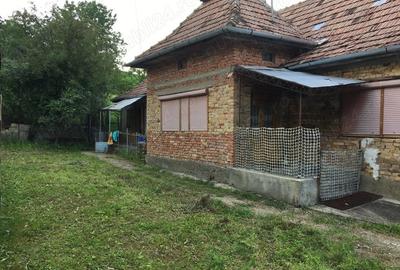 Casă cu 3 camere cu Teren 2913 Mp în Măhăceni - 3