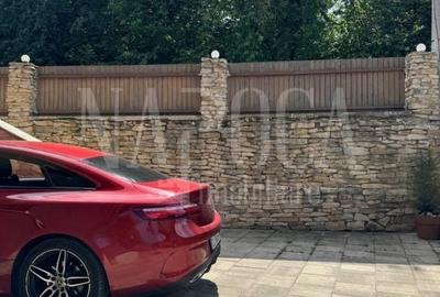 Casă individuală cu 3 camere cu Canalizare în Făget - 23