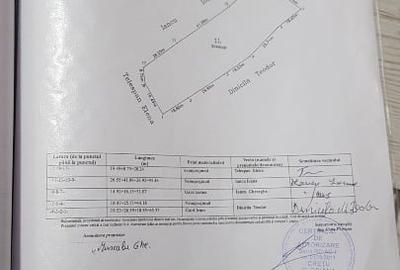 Teren extravilan de 4400 mp, în Ianculești - 7