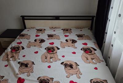 Dacia, ap. 2 cam.,54mp, centrala gaz, etaj 2/4, termen lung, taxe ANAF incluse - 11