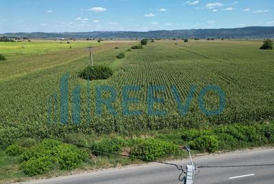 Teren de vanzare, Letea Veche, Jud. Bacau - 2