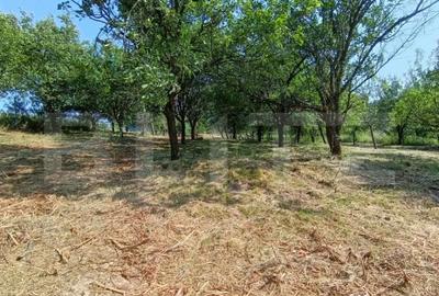 Casă cu 2 camere cu Teren 3350 Mp în Central - 4