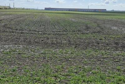 Spațiu comercial, în Dragomirești-Deal - 2