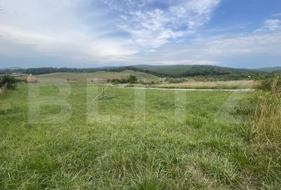 Teren de vanzare zona Subcetate, aproape de str. Tarp - 1