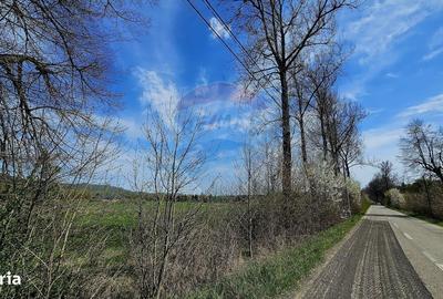 Spațiu comercial, în Mânăstirea Neamț - 14