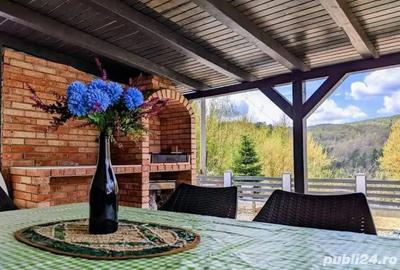 Casă în Văliug - 4