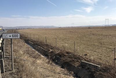 Teren de vanzare 20.000 mp pretabil benzinarie centura, direct de la proprietar! - 2