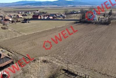 Casă cu 3 camere cu Teren 2407 Mp în Peteni - 6