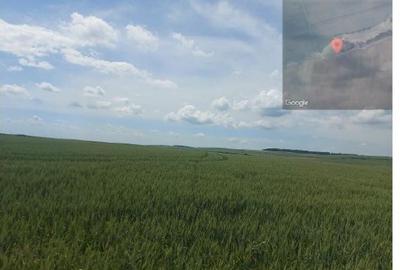 Teren extravilan 5000 mp Loc Plesoiu, Jud Olt - 1