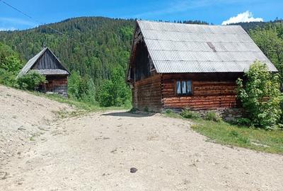 Casă cu 2 camere în Horea - 6